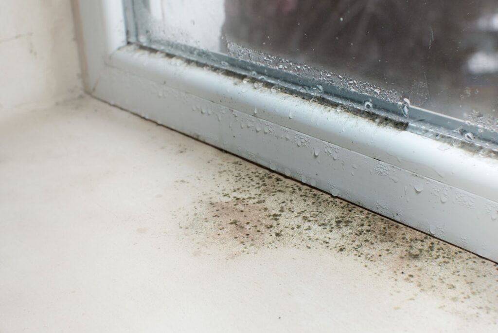 Mold on window sill, potential window damage in the home.